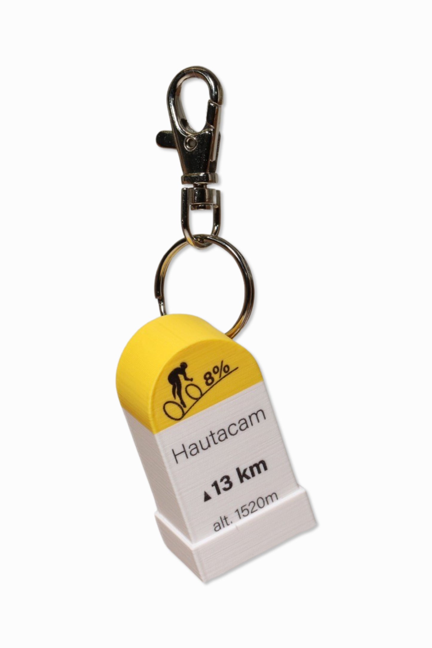 Hautacam Keyring